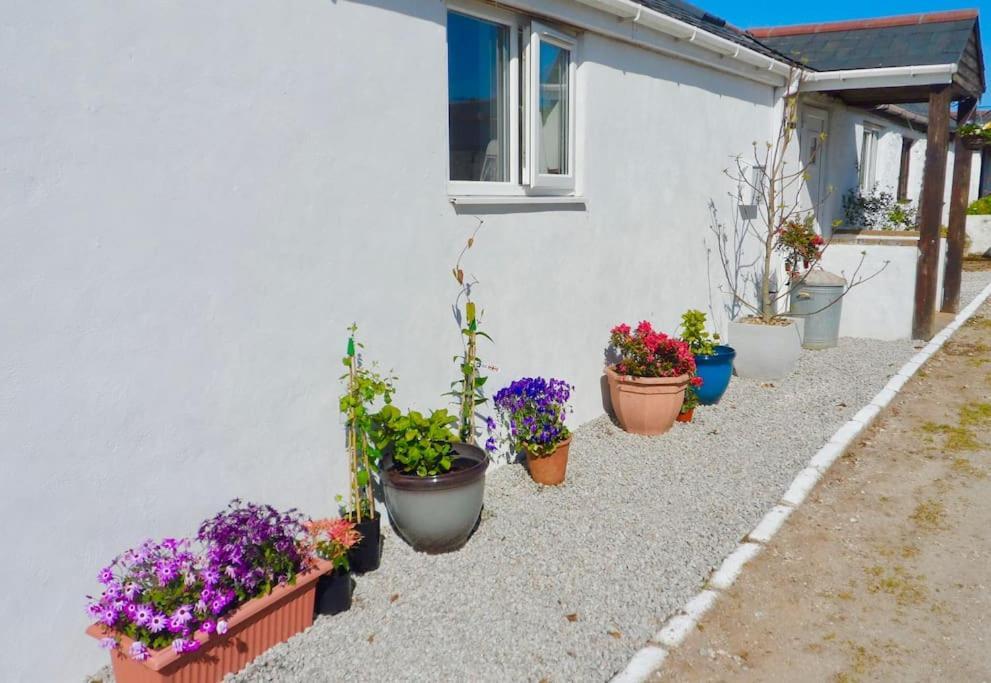 Stunning Annexe 1 Luxury Bedroom, Eating Area & Bathroom Only! Truro Exterior foto